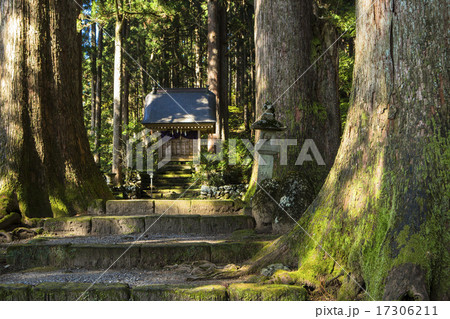 立山大宮 17306211