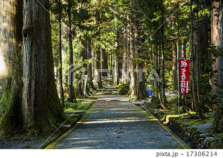 芦峅寺雄山神社参道 17306214