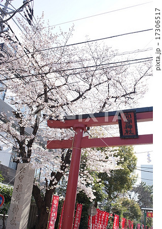 穴守稲荷神社 17306517