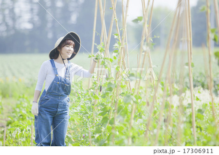 農業女子 17306911