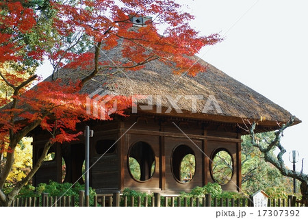 奈良公園の円窓亭 17307392