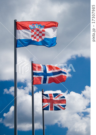 Three flags 17307985