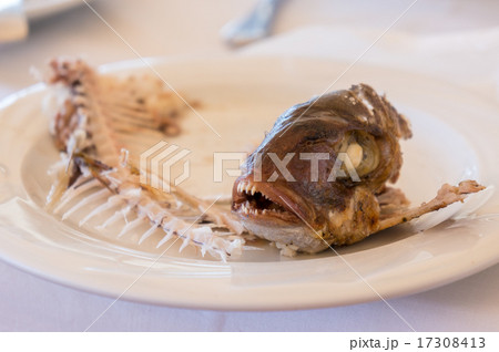 eaten fish with head and tail - symbol of misery eaten fish with head and tail - symbol of misery 17308413