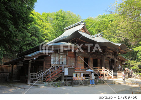 新緑の深大寺 元三大師堂 新緑の深大寺 元三大師堂 17309760
