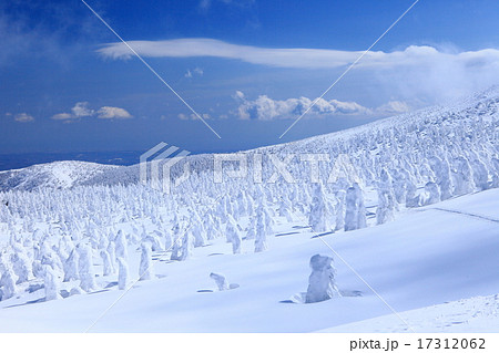 蔵王樹氷 17312062