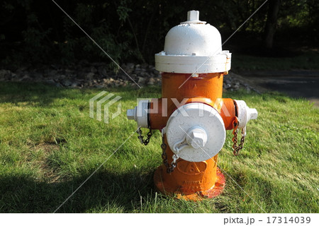 アメリカの消火栓 17314039