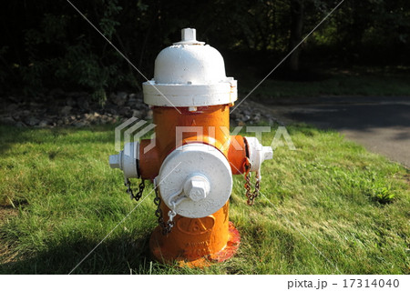 アメリカの消火栓 17314040