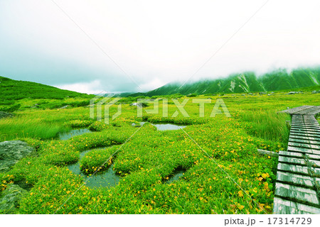 雲ノ平 17314729