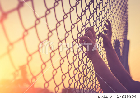 Hand holding on chain link fence Hand holding on chain link fence 17316804