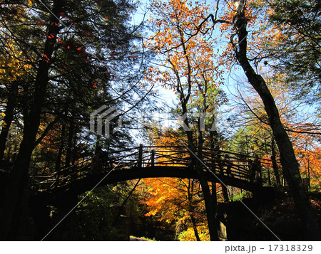 ペンシルバニア州 ポコノマウンテン渓谷の紅葉と渡橋遊歩道 17318329