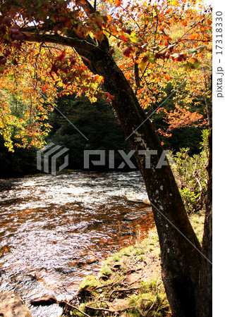 ペンシルバニア州 ポコノマウンテン渓谷の美しい紅葉と清流 17318330