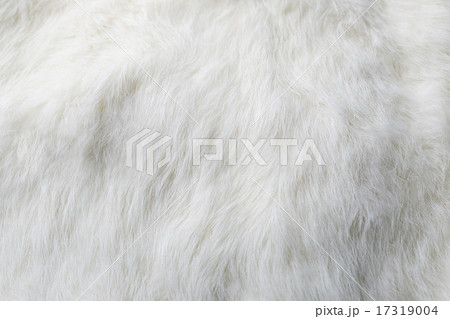 ファー　　　　　 17319004