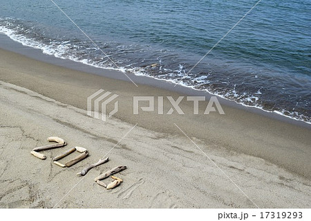 2016年/流木を並べた背景素材 17319293
