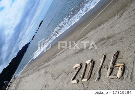 2016年/流木を並べた背景素材 2016年/流木を並べた背景素材 17319294