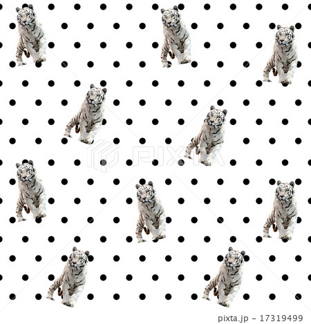 Tiger and Polkadot Pattern 17319499