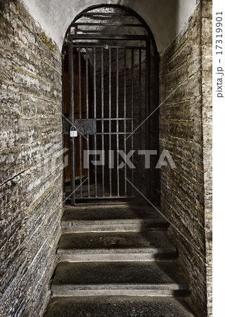 old door made of steel grating in the stone wall 17319901