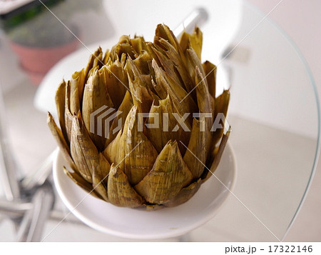 ペルーのアーティチョーク 17322146