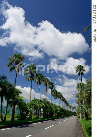 宮崎空港前道路 17322182