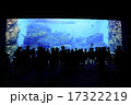 仙台うみの杜水族館のいのちきらめくうみ 仙台うみの杜水族館のいのちきらめくうみ 17322219