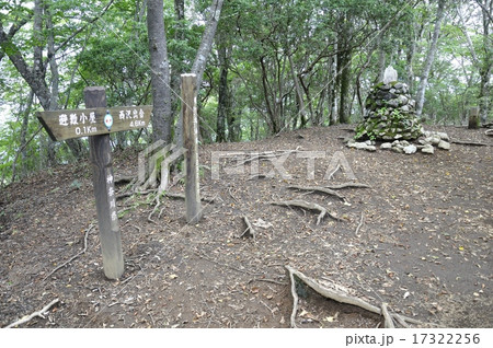 畦ヶ丸の山頂 17322256