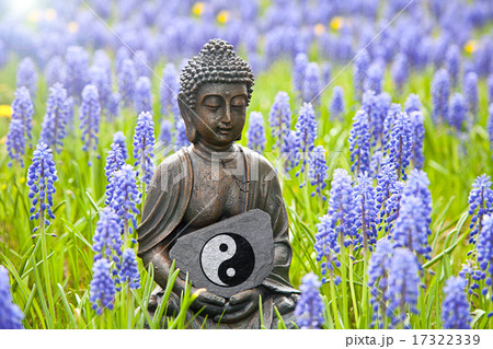 Buddha statue with hyacinths and Yin Yang Sign Buddha statue with hyacinths and Yin Yang Sign 17322339