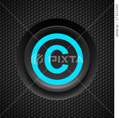 Copyright protection Copyright protection 17322342