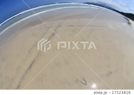 ～波打ち際～ 17323816