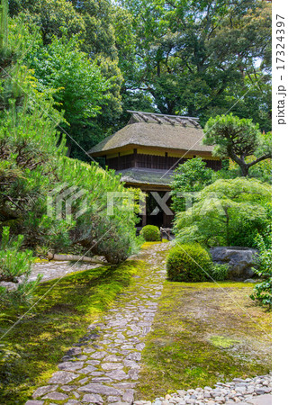 慈光院 慈光院 17324397