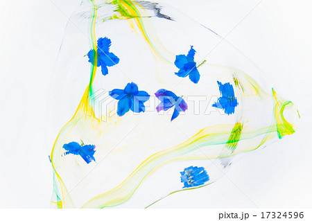 デルフィ 17324596