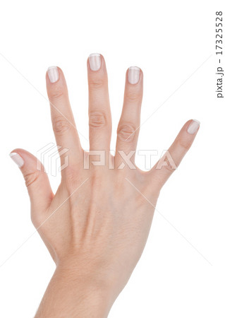 Woman hand shows five fingers Woman hand shows five fingers 17325528