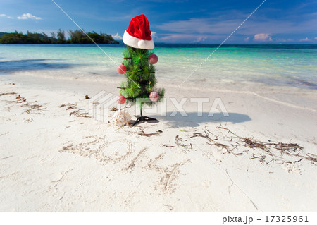 Summer New Year on beach Summer New Year on beach 17325961