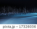 青い池ライトアップ 17326036
