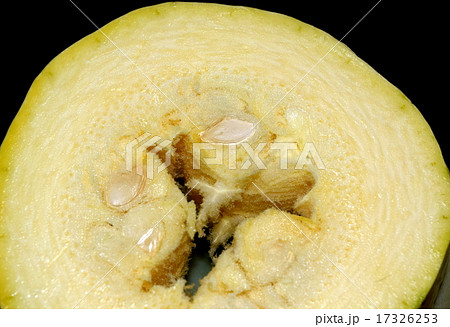 錦糸瓜の輪切り断面 17326253
