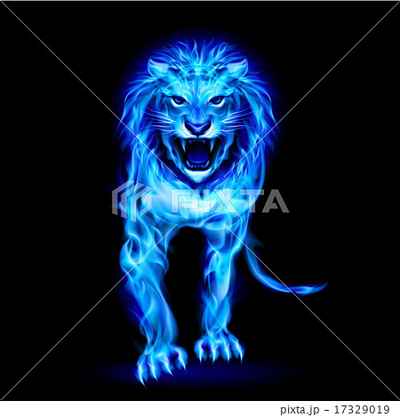 Blue Fire Lionのイラスト素材