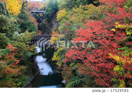 山梨県大月市八ツ沢発電所一号水路橋と紅葉 17329583