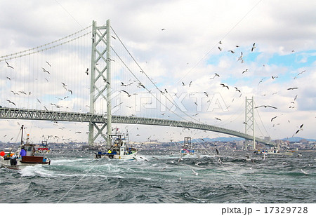 イカナゴ漁 17329728