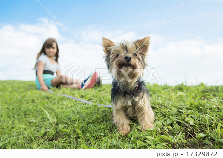 portrait of girl keeping pretty dog outdoor 17329872