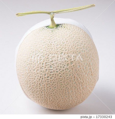 マスクメロン マスクメロン 17330243