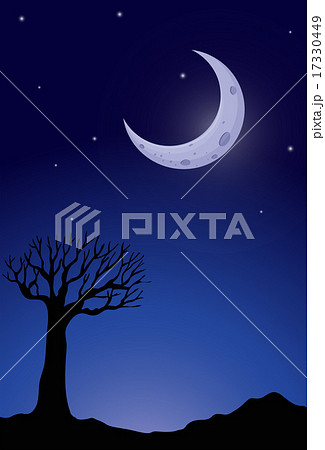 Silhouette tree at nighttime Silhouette tree at nighttime 17330449