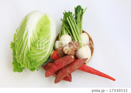 野菜 17330532