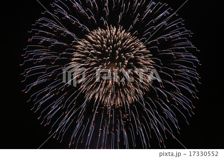 横浜金沢まつり花火大会 17330552