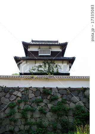 福岡城の潮見櫓 17335083