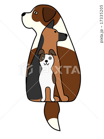 犬　三匹　重なる　カラー 17335205