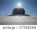 マイルドセブンの丘 17336268