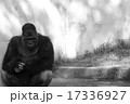 ゴリラ（モノトーン） 17336927