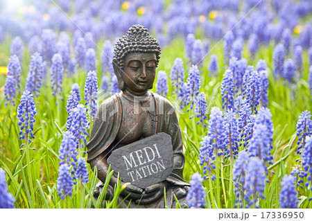 Buddha statue with hyacinths and word „Meditation" Buddha statue with hyacinths and word „Meditation" 17336950