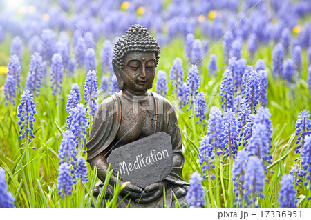 Buddha statue with hyacinths and word „Meditation" Buddha statue with hyacinths and word „Meditation" 17336951