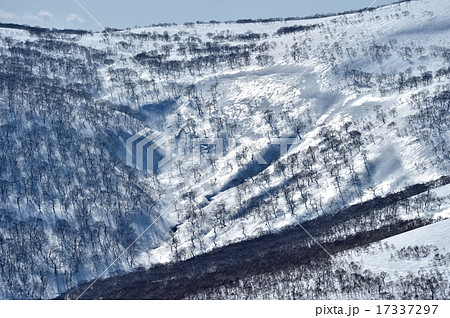 ニセコオートルート 春の雪景色 ニセコオートルート 春の雪景色 17337297