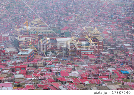 ラルンガルゴンパ　朝 17337540