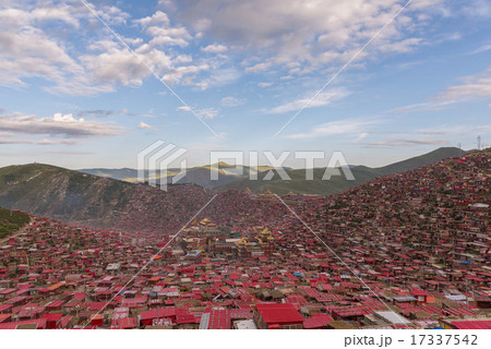 ラルンガルゴンパ　朝 17337542